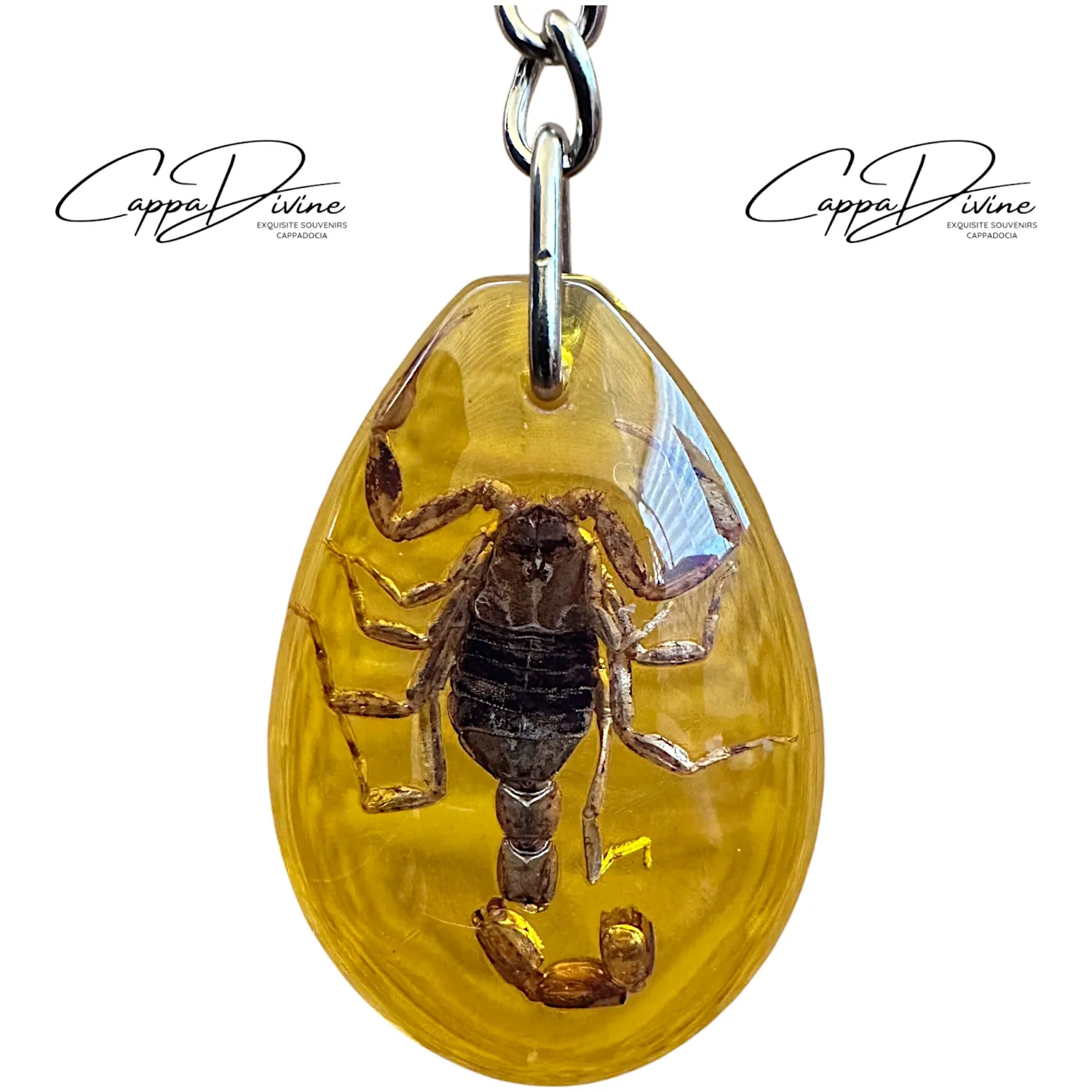 Scorpion Fossil Keychain – Amber & Droplet Shape