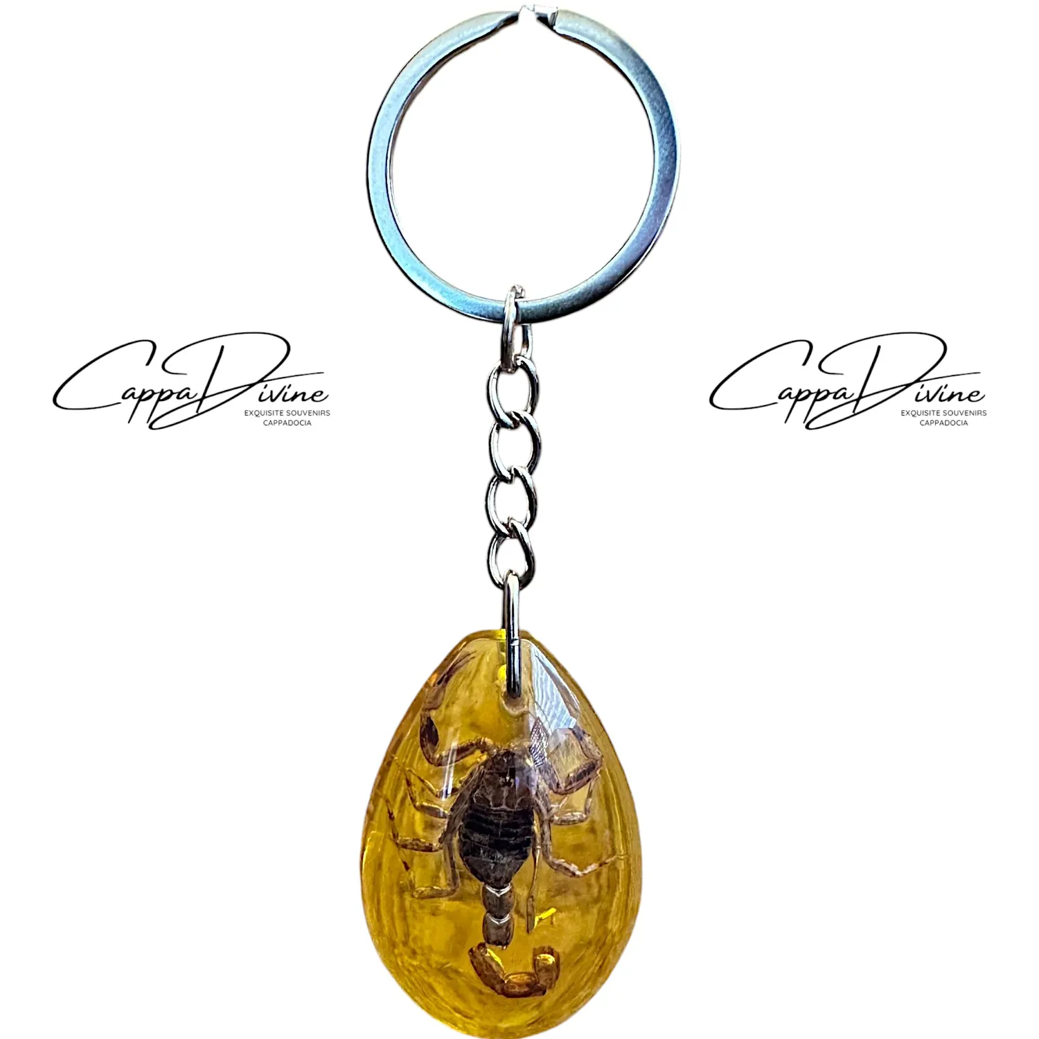 Scorpion Fossil Keychain – Amber & Droplet Shape