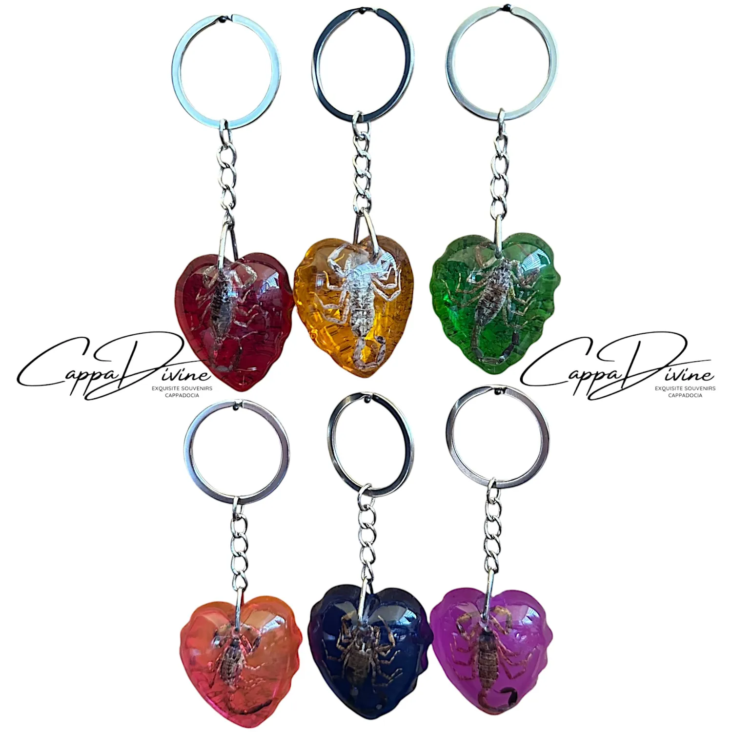 Scorpion Fossil Keychain – Amber & Heart Shape