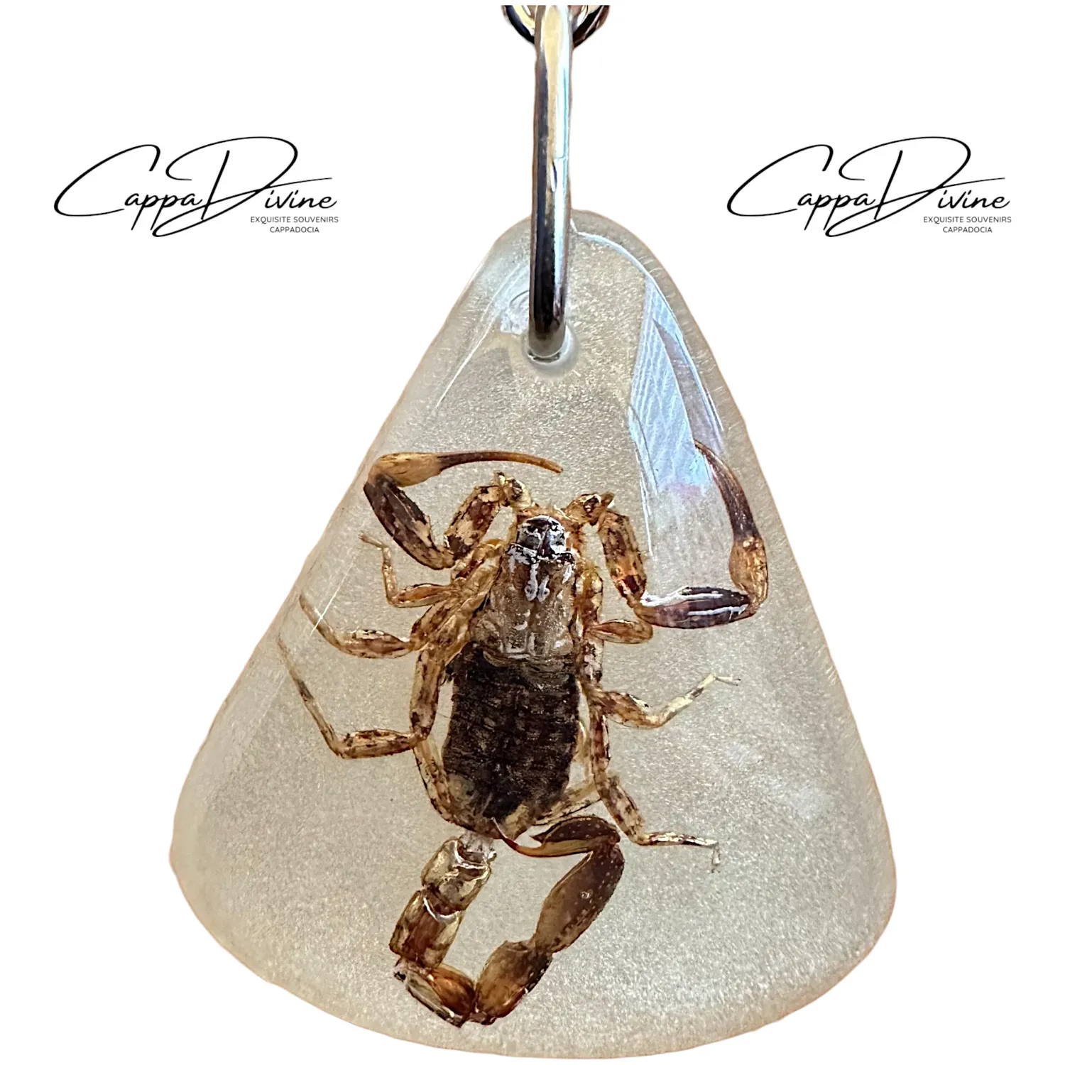 Scorpion Fossil Keychain – Phosphorescent Amber & Triangle Shape