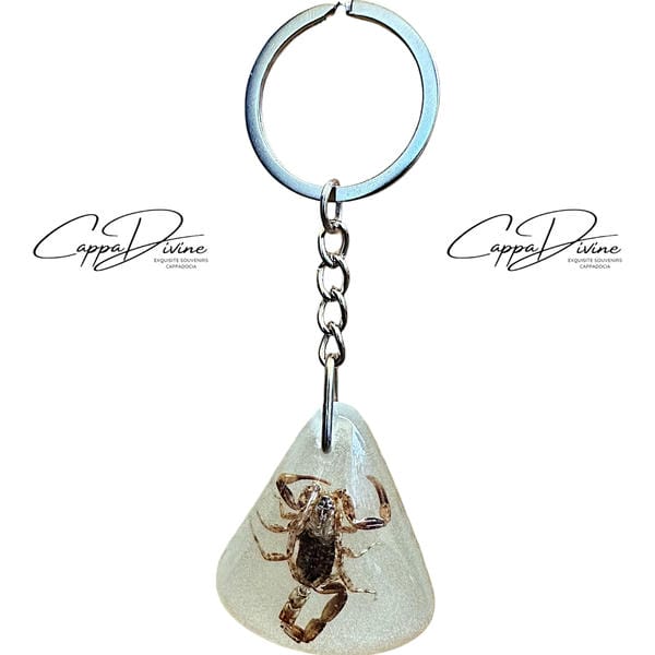 Scorpion Fossil Keychain – Phosphorescent Amber & Triangle Shape