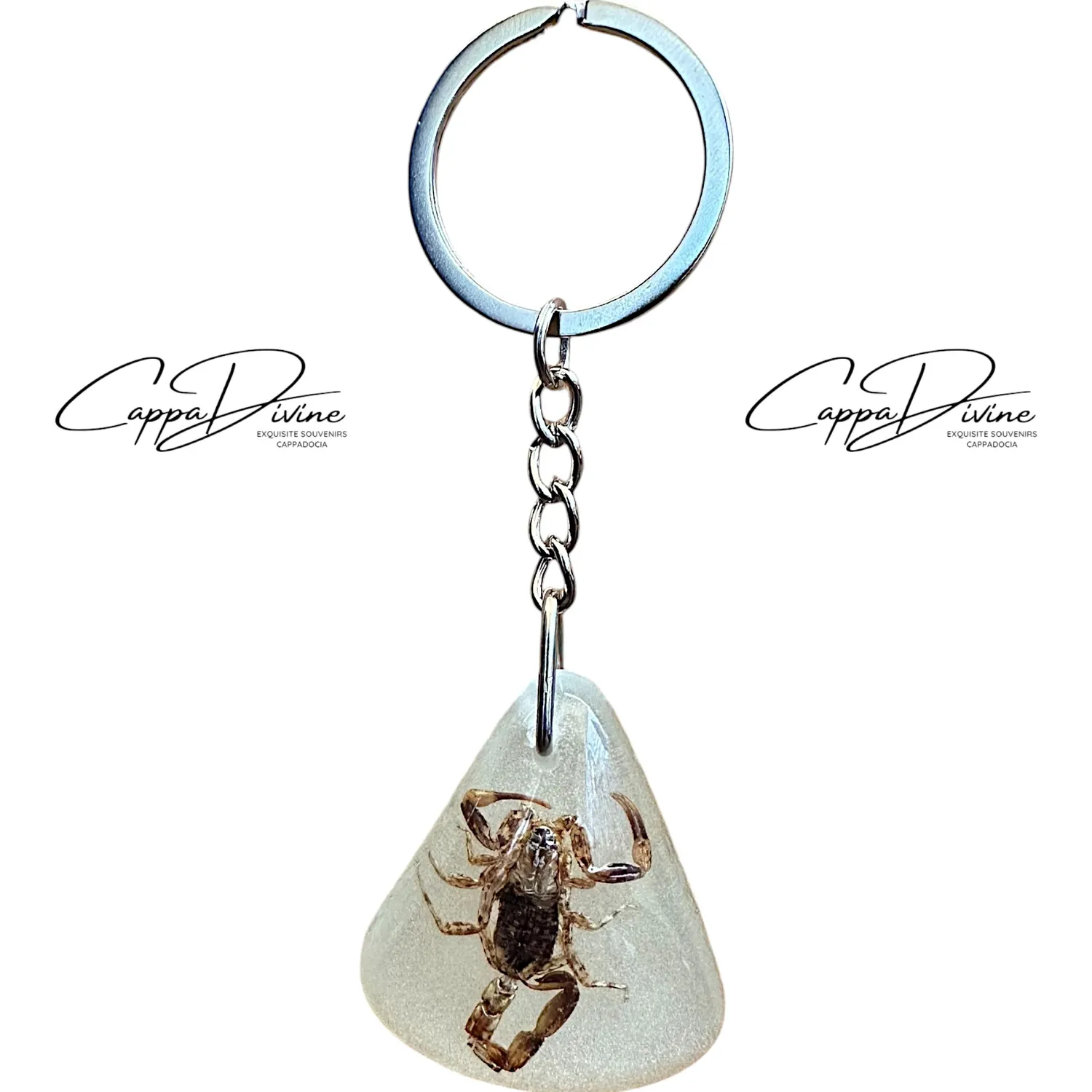 Scorpion Fossil Keychain – Phosphorescent Amber & Triangle Shape